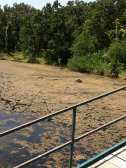 Blast, 2,500 Gallon, 5 Packets -Garden Supplies Sales 2024 37425 001v 1 1