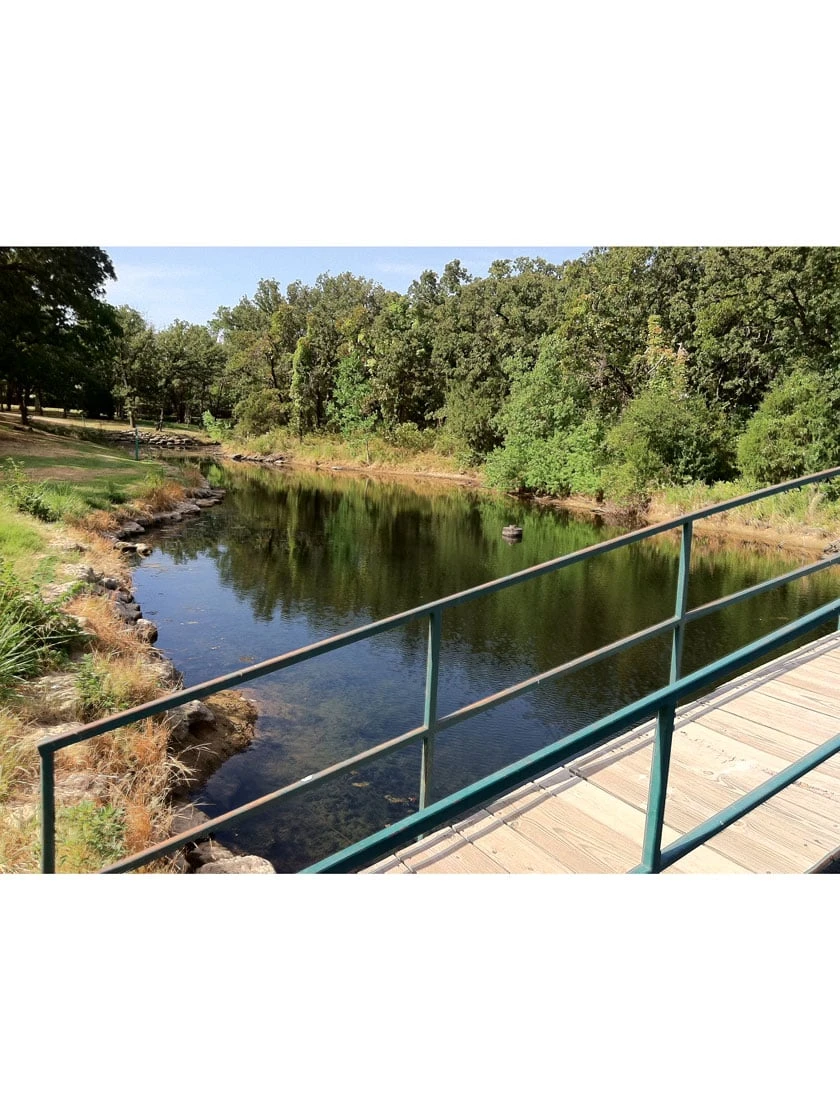 Blast, 125,000 Gallon, 12 Packets 3 Blast, 125,000 Gallon, 12 Packets - Image 3