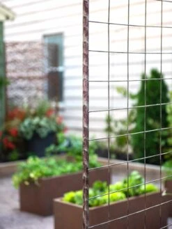 Jardin Rose Arch 8 Jardin Rose Arch -Garden Supplies Sales 2024 38690 9948 tif