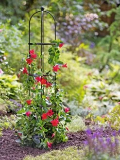 Essex Round Trellises -Garden Supplies Sales 2024 39544 2267 tif