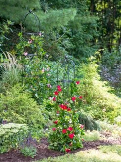 Essex Round Trellises -Garden Supplies Sales 2024 39545 2286 tif