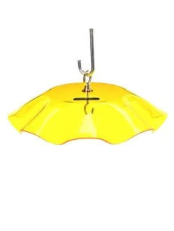 Birds Choice Weather Guard Feeder Cover 15 Birds Choice Weather Guard Feeder Cover -Garden Supplies Sales 2024 3 4 crop 8608735 25V