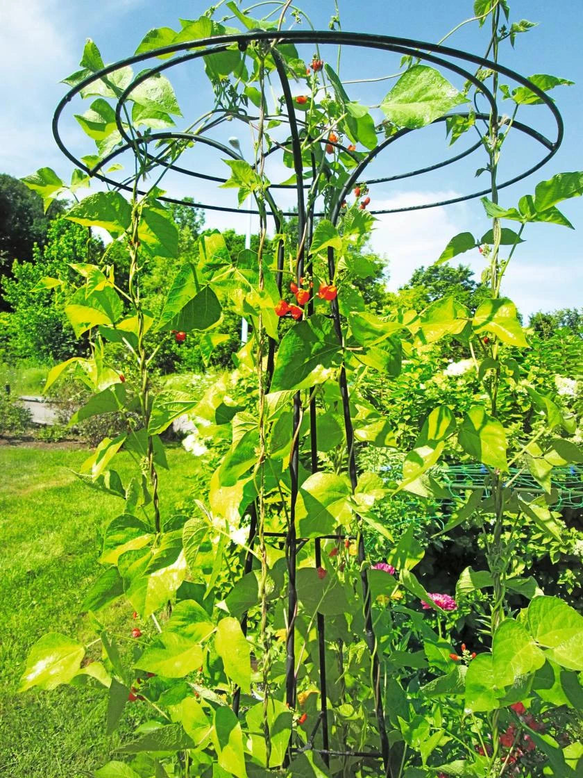 Essex Tuteur, 78" 5 Essex Tuteur, 78" - Image 5