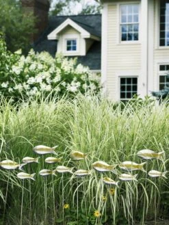 Fish Out Of Water Garden Stakes, Set Of 5 12 Fish Out Of Water Garden Stakes, Set Of 5 -Garden Supplies Sales 2024 8593672 9124 tif