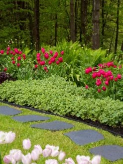 Recycled Rubber Flagstone Stepping Stone 16 Recycled Rubber Flagstone Stepping Stone -Garden Supplies Sales 2024 8594282 518 tif