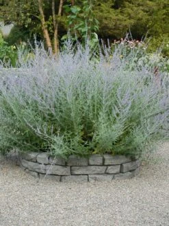 Rock Lock Interlocking Garden System, Curved Sets 11 Rock Lock Interlocking Garden System, Curved Sets -Garden Supplies Sales 2024 8598737 04V tif