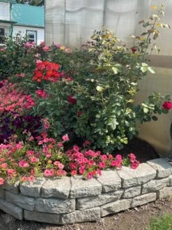 Rock Lock Interlocking Garden System, Ends, Set Of 3 5 Rock Lock Interlocking Garden System, Ends, Set Of 3 -Garden Supplies Sales 2024 8598738 03V jpg