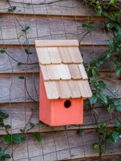 Heartwood Fruit Coops Bird House -Garden Supplies Sales 2024 8598856 04v