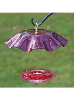 Birds Choice™ Hummingbird Nectar Feeder With Weather Guard Kit 5 Birds Choice™ Hummingbird Nectar Feeder With Weather Guard Kit -Garden Supplies Sales 2024 8598910 01v