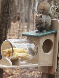 Birds Choiceâ„¢ Squirrel Jar Feeder