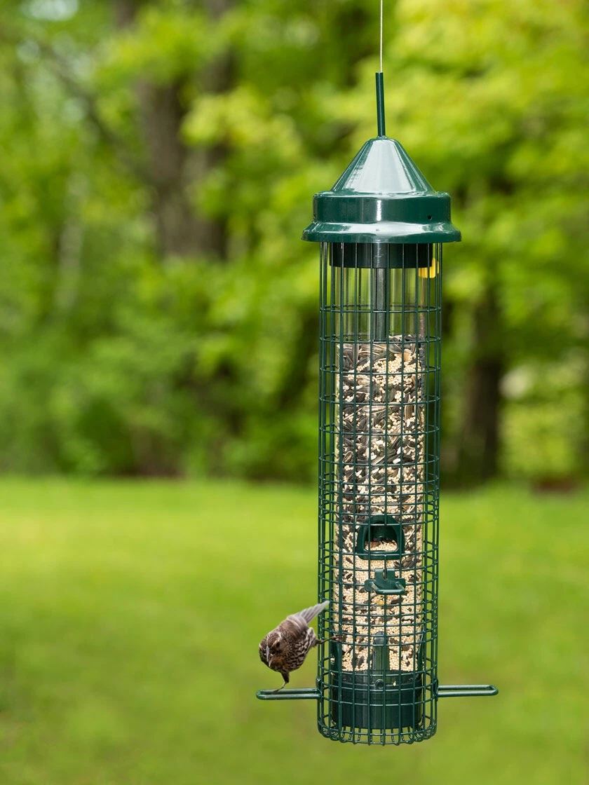 Brome® Squirrel Buster™ Classic Bird Feeder 1 Brome® Squirrel Buster™ Classic Bird Feeder