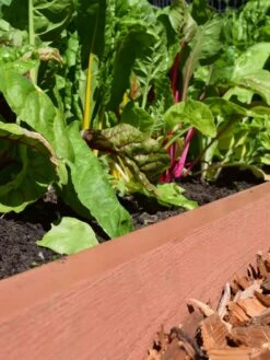 Straight Landscape Edging Kit With 2" Boards 6 Straight Landscape Edging Kit With 2" Boards -Garden Supplies Sales 2024 8599408 02V tif