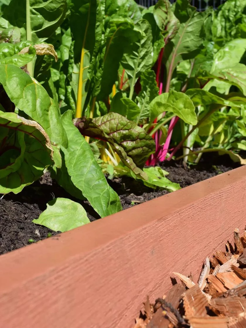 Straight Landscape Edging Kit With 2" Boards 3 Straight Landscape Edging Kit With 2" Boards - Image 3