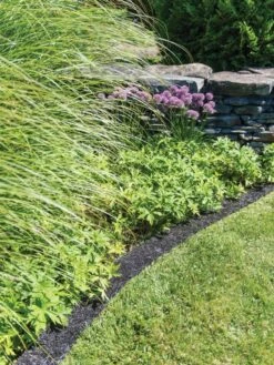 Recycled Rubber Mulch Edging, 12’ X 6” 7 Recycled Rubber Mulch Edging, 12’ X 6” -Garden Supplies Sales 2024 8599854 0897 tif