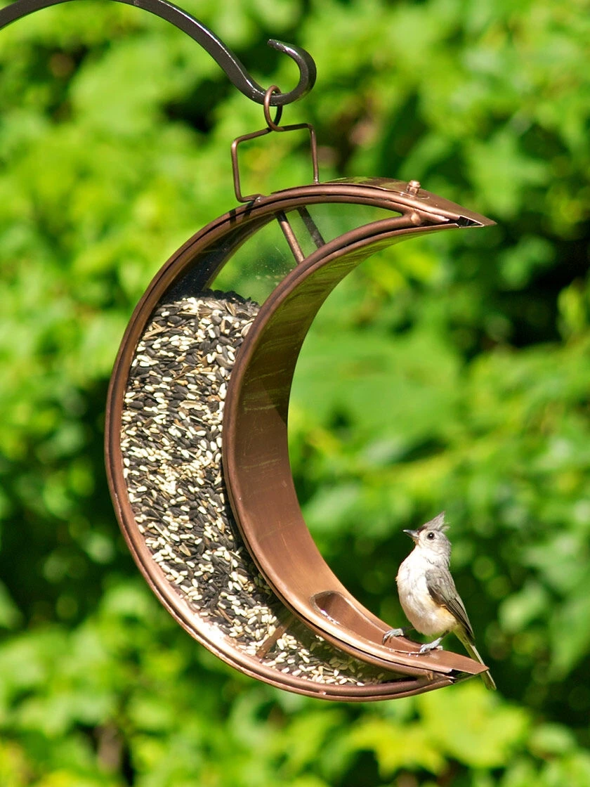 Crescent Moon Bird Feeder With Copper Finish 1 Crescent Moon Bird Feeder With Copper Finish