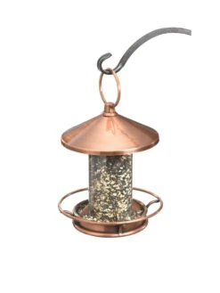 Classic Perch Bird Feeder With Copper Finish 5 Classic Perch Bird Feeder With Copper Finish -Garden Supplies Sales 2024 8600195 02v
