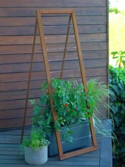 Mira Modern Garden Trellis Sr. -Garden Supplies Sales 2024 8600513 06v mira modern garden trellis sr oxide