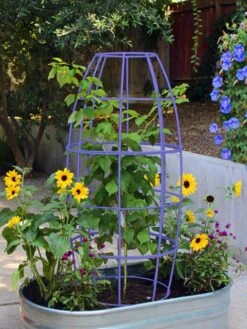 Toki Bubble Trellis -Garden Supplies Sales 2024 8600520 02V tif