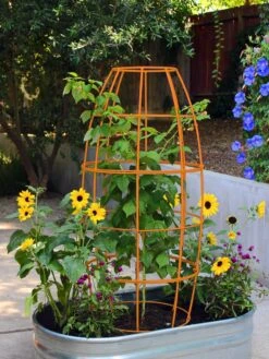 Toki Bubble Trellis -Garden Supplies Sales 2024 8600520 03V tif