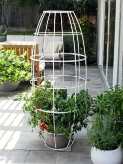 Toki Bubble Trellis -Garden Supplies Sales 2024 8600520 05V tif