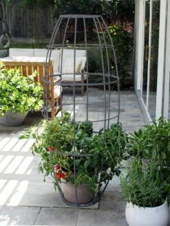 Toki Bubble Trellis -Garden Supplies Sales 2024 8600520 07V jpg