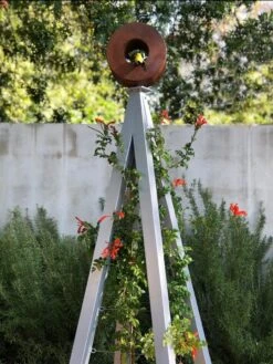 Bird Cafe + Akoris Garden Tuteur Jr. -Garden Supplies Sales 2024 8600525 07v