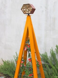 Bee Bungalow + Akoris Garden Tuteur Jr. 11 Bee Bungalow + Akoris Garden Tuteur Jr. -Garden Supplies Sales 2024 8600532 04v bee bungalow akoris garden tuteur kumquat