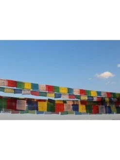 Tibetan Prayer Flags -Garden Supplies Sales 2024 8600646 01v