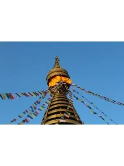 Tibetan Prayer Flags -Garden Supplies Sales 2024 8600646 04v