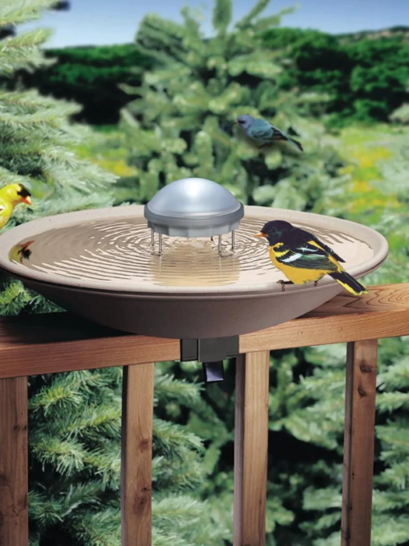Birds Choice ® Aurora Water Wiggler 1 Birds Choice ® Aurora Water Wiggler