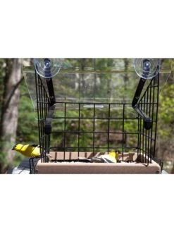 Birds Choice Window Mount Bird Feeder Kits 10 Birds Choice Window Mount Bird Feeder Kits -Garden Supplies Sales 2024 8608818 01v