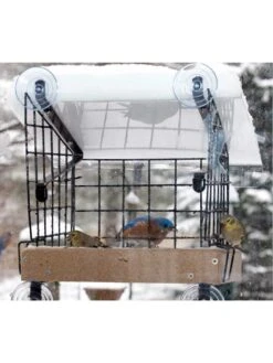 Birds Choice Window Mount Bird Feeder Kits 11 Birds Choice Window Mount Bird Feeder Kits -Garden Supplies Sales 2024 8608818 06v