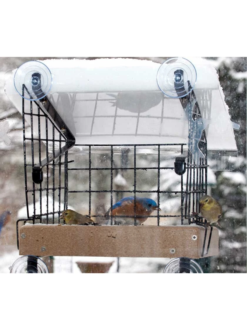 Birds Choice Window Mount Bird Feeder Kits 6 Birds Choice Window Mount Bird Feeder Kits - Image 6