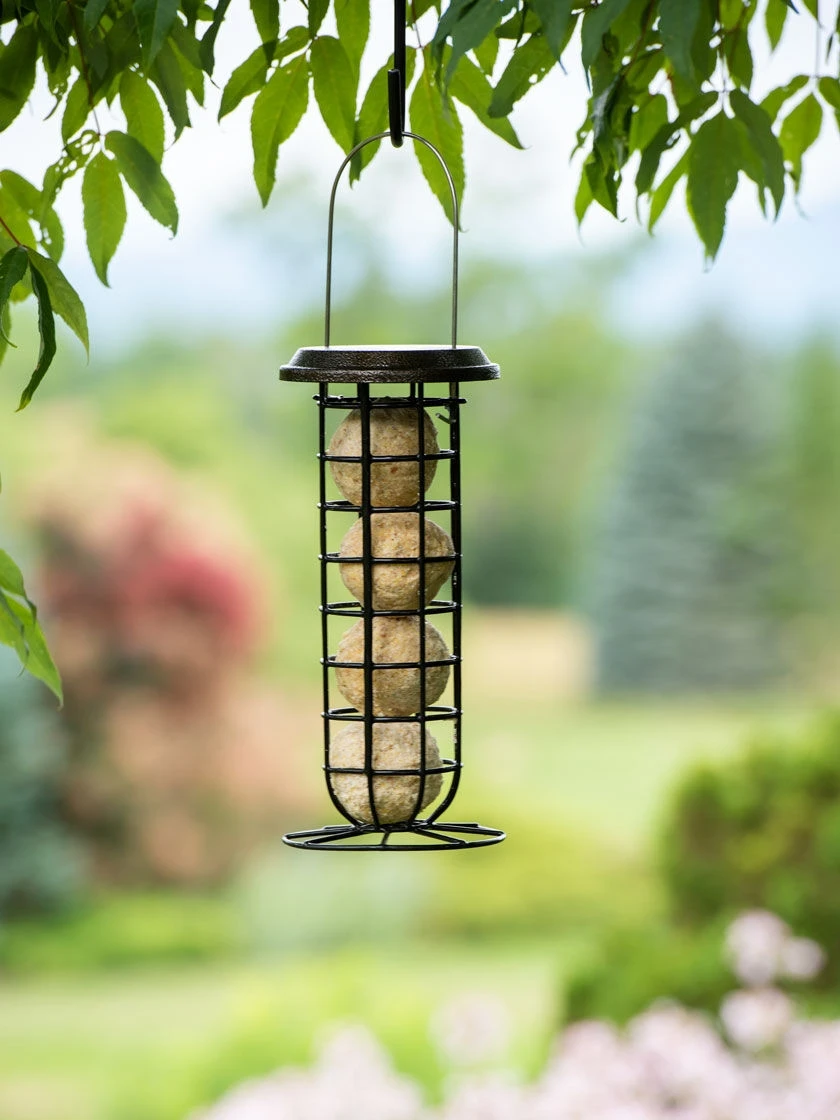 Suet Ball & Feeder Combo Set 1 Suet Ball & Feeder Combo Set