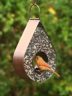 Teardrop Fly-Thru™ Bird Feeder -Garden Supplies Sales 2024 8609054 02v