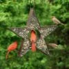 Star Fly-Thru™ Bird Feeder