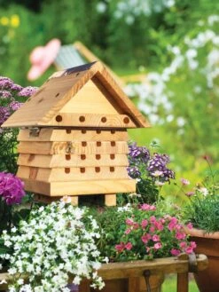 Solitary Bee Hive -Garden Supplies Sales 2024 8609060 02V tif