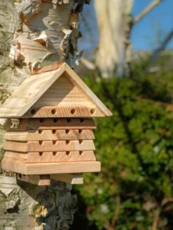 Solitary Bee Hive -Garden Supplies Sales 2024 8609060 08V tif