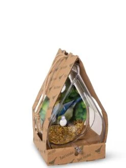 Dewdrop Window Bird Feeder -Garden Supplies Sales 2024 8609061 4444 tif