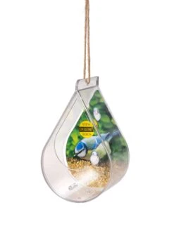 Dewdrop Window Bird Feeder -Garden Supplies Sales 2024 8609061 4447 tif