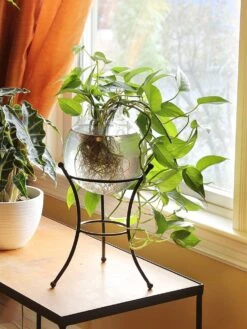 Achla Designs Multi Use Stand 9 Achla Designs Multi Use Stand -Garden Supplies Sales 2024 8609343 01v achla designs multi use stand