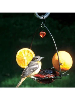 Birds Choice ™ Oriole Flower Feeder -Garden Supplies Sales 2024 8610154 03v