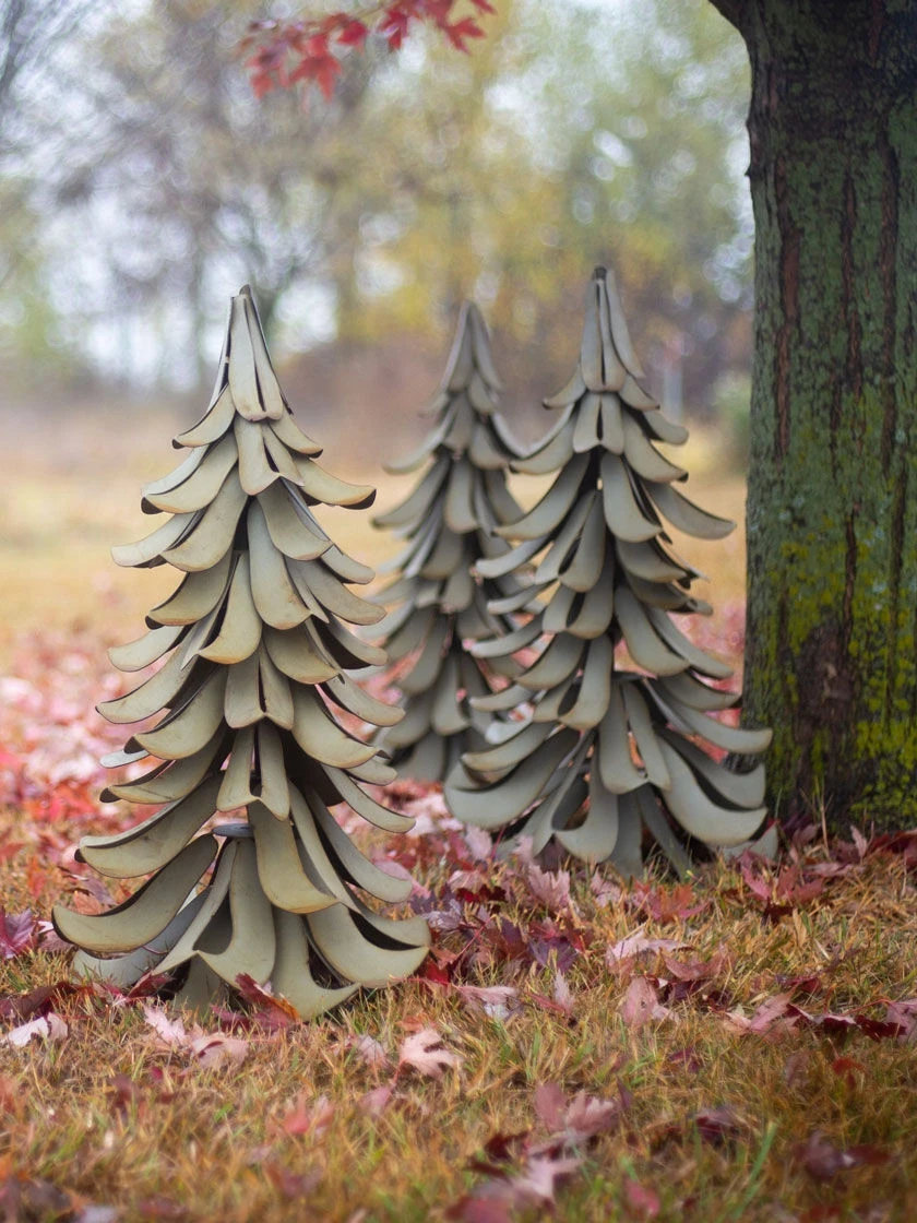 Desert Steel Blue Atlas Cedar 4 Desert Steel Blue Atlas Cedar - Image 4