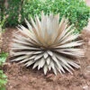 Desert Steel Yucca Plant Sculpture