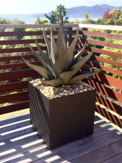 Desert Steel Sharkskin Agave Sculpture -Garden Supplies Sales 2024 8610753 03v
