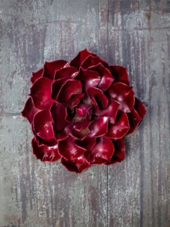 Desert Steel Ruby Rose Succulent Sculpture, Small