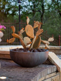 Desert Steel Prickly Pear Cactus Sculpture, Redondo -Garden Supplies Sales 2024 8610768 03v