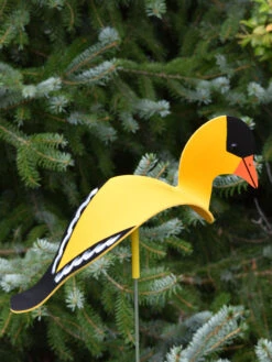 Florida Dancing Birds®, Songbirds -Garden Supplies Sales 2024 8611629 04v