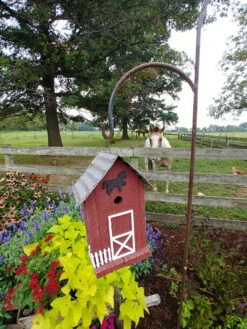 Summitville Stable Bird House -Garden Supplies Sales 2024 8612121 05v