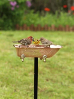 Copper Bathtub Birdbath -Garden Supplies Sales 2024 8612202 01v copper bathtub birdbath